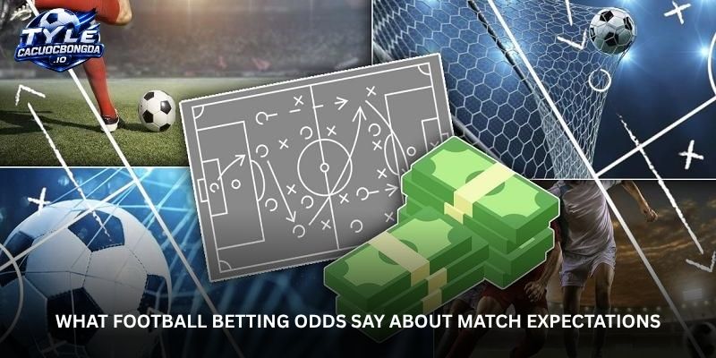From Match Lines to Winning Ideas - Understanding ...